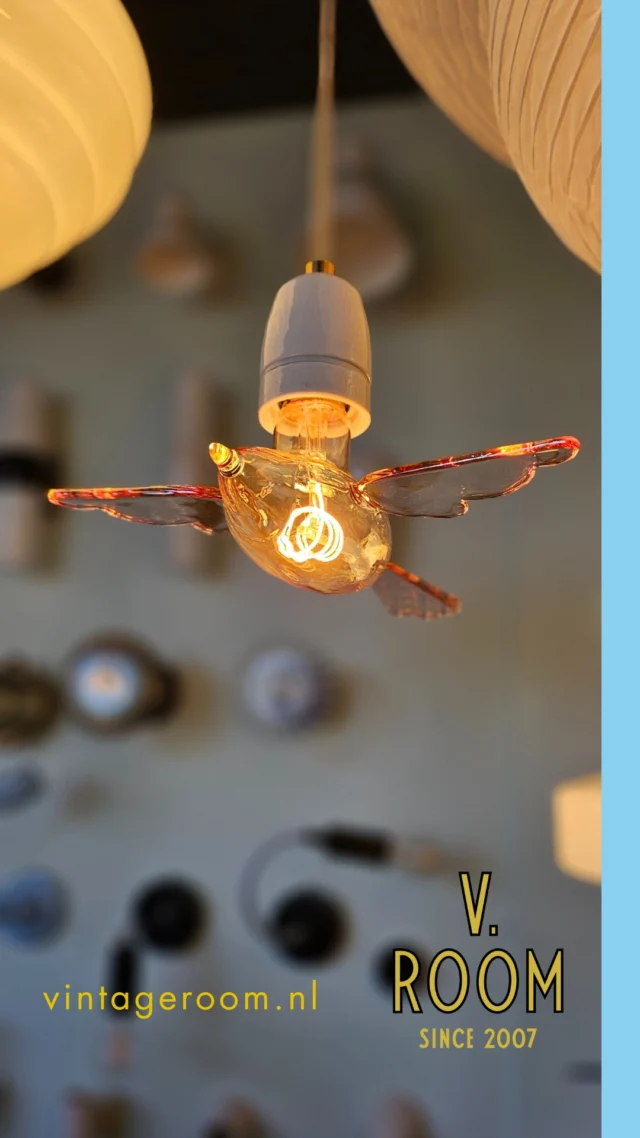 Dol op vogeltjes? 🐦 Dan is deze leuke Bird LED lamp echt wat voor jou. Maak je nieuwe lamp compleet met een mooie bijpassende stofkabel, trekontlaster en fitting. Je vindt alles in onze webshop of kom gezellig langs in onze studio in Den Bosch voor nog meer bijzondere verlichting. 🔧We kunnen het ook voor je in elkaar zetten. Vintage Room = verlichting op maat!

#vintageroomdenbosch #zinindenbosch #birdlamp #vogellamp #ledlamp #verlichtingopmaat